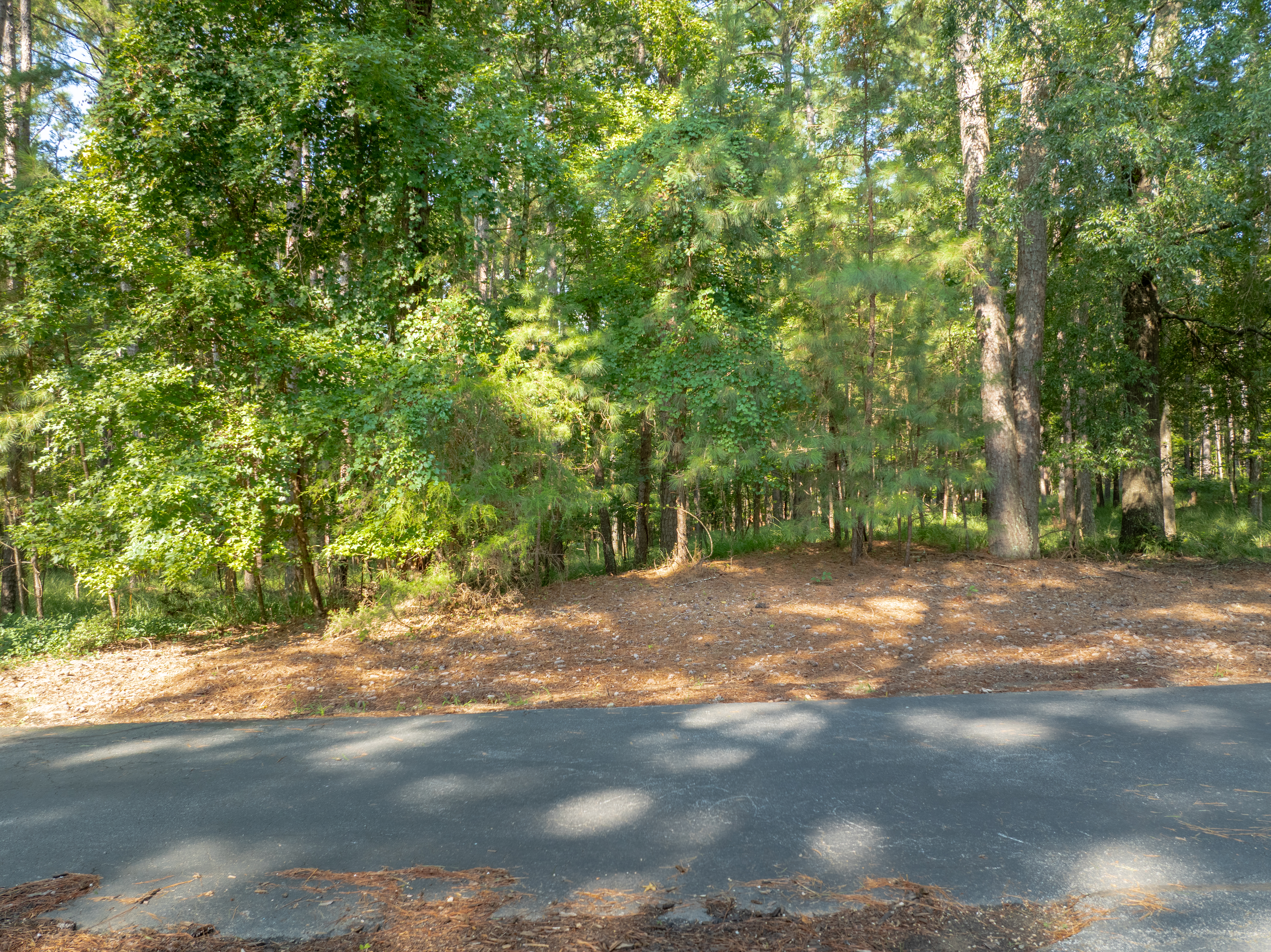 1010 Wrayswood Circle image 3